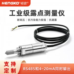工業(yè)溫濕度露點記錄儀_恒歌 ±1%RH高精度天然氣管道工業(yè)露點儀